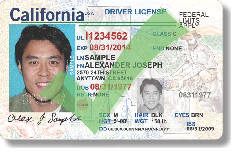 CA Driver License